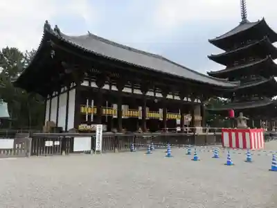 興福寺の本殿・本堂