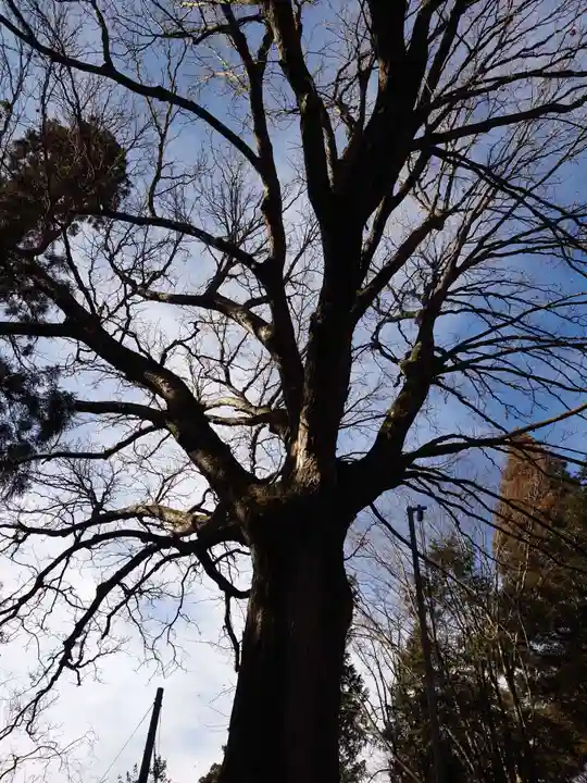 北野天神社(山梨県)
