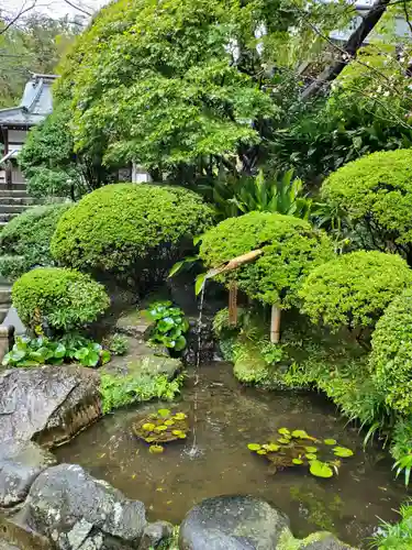 報国寺の庭園