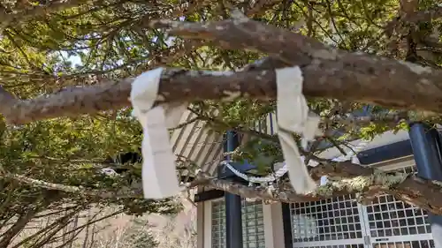 昆布森神社のおみくじ