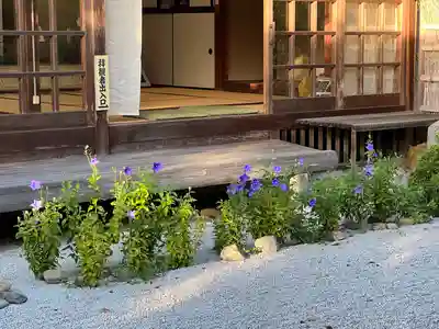 金福寺(京都府)