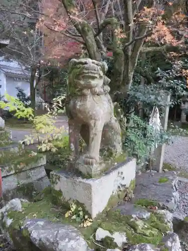 粟田神社の狛犬