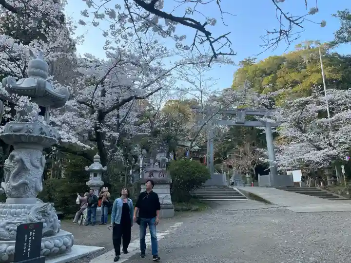 香取神宮の{uncategorized: "未分類", other: "その他", undefined: "問題あり", building: "その他建物", grave: "お墓", sacred_gate: "鳥居", guardian: "狛犬", statue: "像", buddha: "仏像", history: "歴史", nature: "自然", garden: "庭園", animal: "動物", pagoda: "塔", temizu: "手水舎", mountain_gate: "山門・神門", sanctuary: "本殿・本堂", subordinate: "末社・摂社", art: "芸術", scenery: "景色", jizo: "地蔵", ema: "絵馬", goshuin: "御朱印", omikuji: "おみくじ", items: "授与品その他", amulet: "お守り", goshuincho: "御朱印帳", eats: "食事", festival: "お祭り", votive_dance: "神楽", shichigosan: "七五三参", wedding: "結婚式", experience: "体験その他", initially: "初詣", around: "周辺", anti_infection: "感染症対策"}
