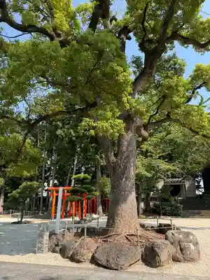 久居八幡宮（野邊野神社）(三重県)