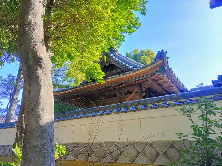 若松社の本殿・本堂