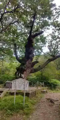 那須温泉神社(栃木県)