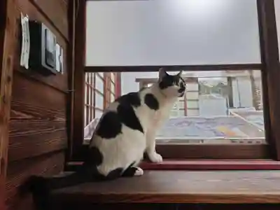 大綱金刀比羅神社(神奈川県)