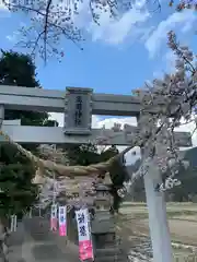 高司神社〜むすびの神の鎮まる社〜の鳥居