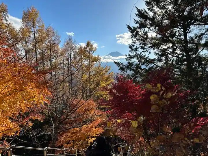 新倉富士浅間神社(山梨県)