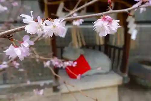 綱敷天神社の自然