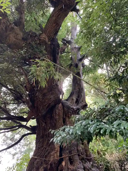 八幡神社(千葉県)
