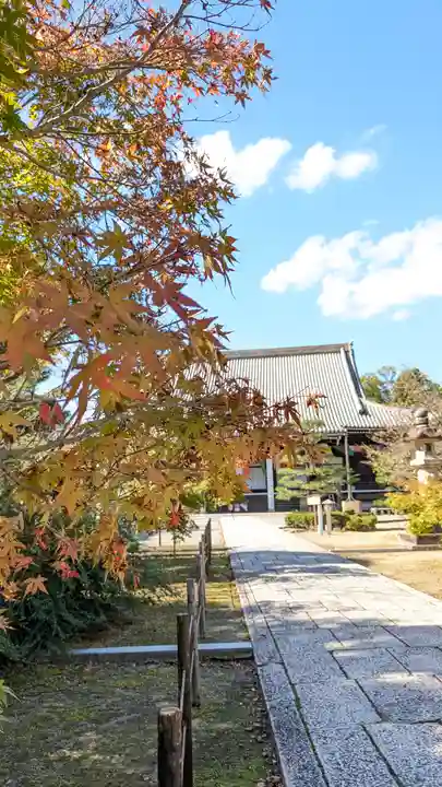 光明寺(粟生光明寺)(京都府)
