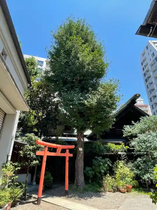 蔵前神社の自然