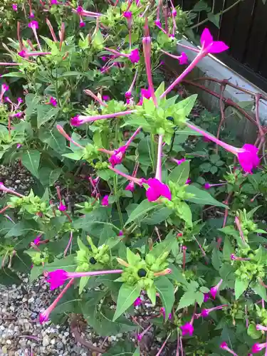 三輪神社の自然