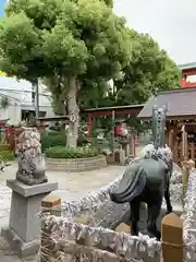 尼崎えびす神社の狛犬