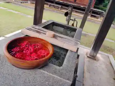 横浜 西方寺の手水舎