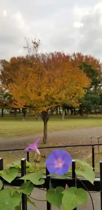香取神社の自然