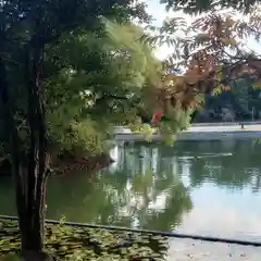 秋葉神社の自然