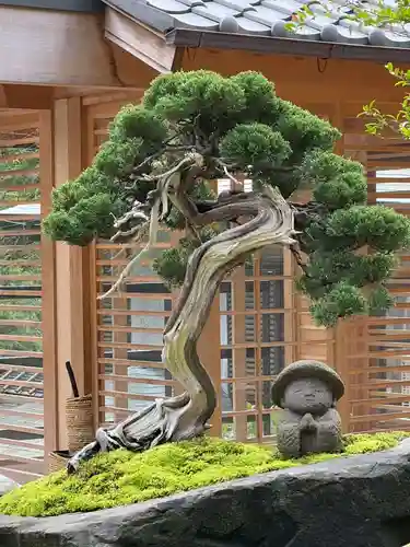 南蔵院(福岡県)