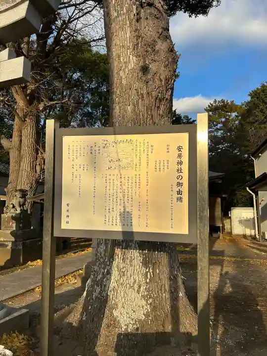 安房神社(千葉県)