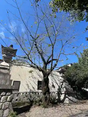 手力雄神社(岐阜県)