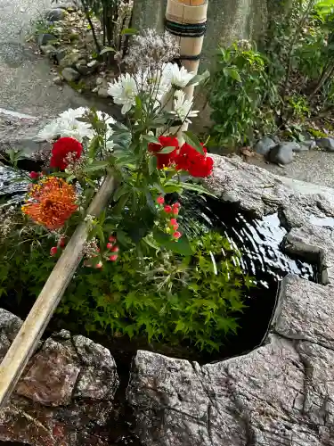 阿智神社の{uncategorized: "未分類", other: "その他", undefined: "問題あり", building: "その他建物", grave: "お墓", sacred_gate: "鳥居", guardian: "狛犬", statue: "像", buddha: "仏像", history: "歴史", nature: "自然", garden: "庭園", animal: "動物", pagoda: "塔", temizu: "手水舎", mountain_gate: "山門・神門", sanctuary: "本殿・本堂", subordinate: "末社・摂社", art: "芸術", scenery: "景色", jizo: "地蔵", ema: "絵馬", goshuin: "御朱印", omikuji: "おみくじ", items: "授与品その他", amulet: "お守り", goshuincho: "御朱印帳", eats: "食事", festival: "お祭り", votive_dance: "神楽", shichigosan: "七五三参", wedding: "結婚式", experience: "体験その他", initially: "初詣", around: "周辺", anti_infection: "感染症対策"}