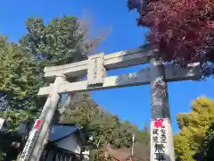 亀ケ池八幡宮の鳥居