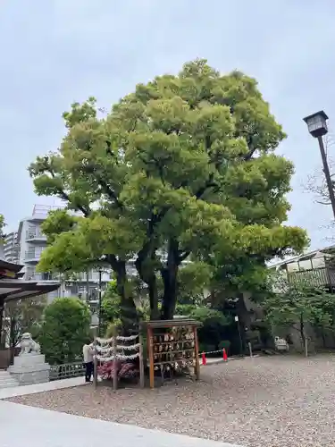 蒲田八幡神社(東京都)