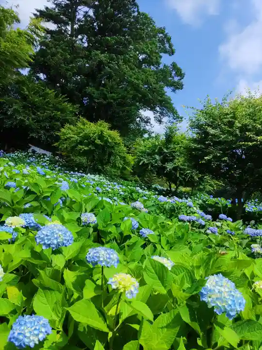 雲昌寺(秋田県)
