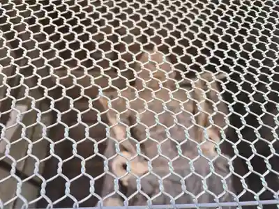 長谷寺(奈良県)