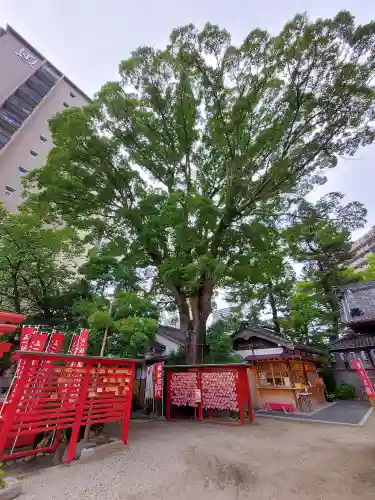 菅生神社(愛知県)