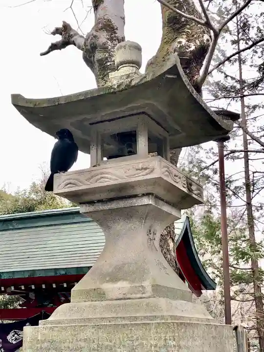 井の頭弁財天(大盛寺)の動物