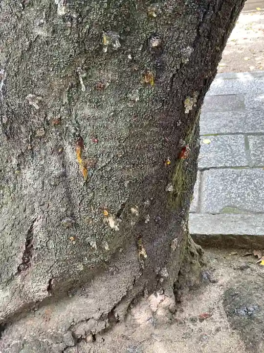 八坂神社(大阪府)