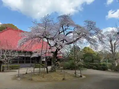 金光院(千葉県)