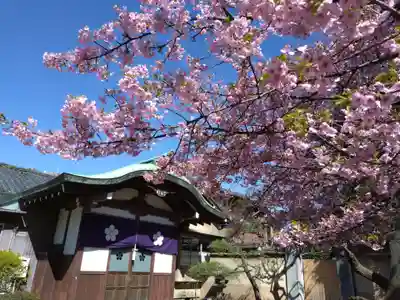 新井薬師（梅照院）(東京都)