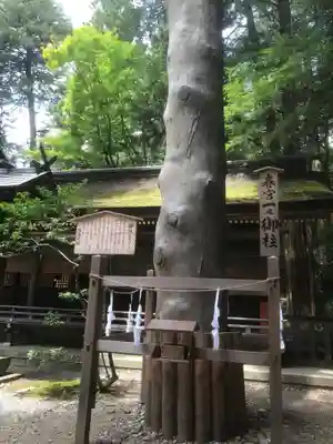 諏訪大社下社春宮(長野県)