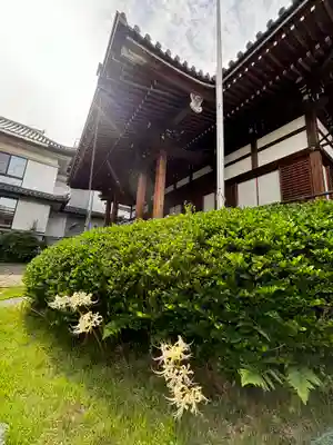 光永寺(長崎県)