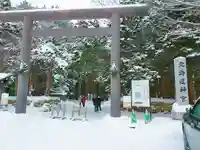 北海道神宮の鳥居