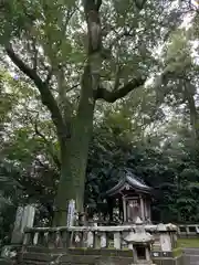 生目神社(宮崎県)