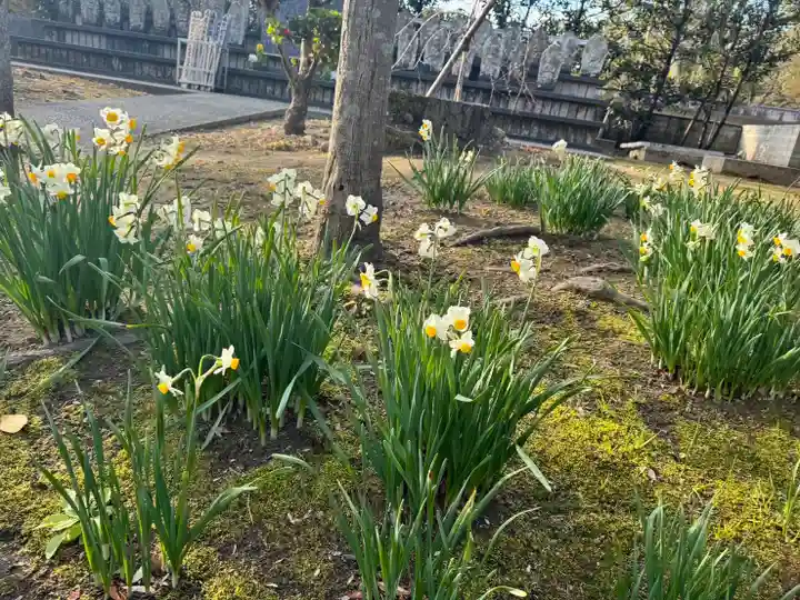 伊勢の国 四天王寺(三重県)