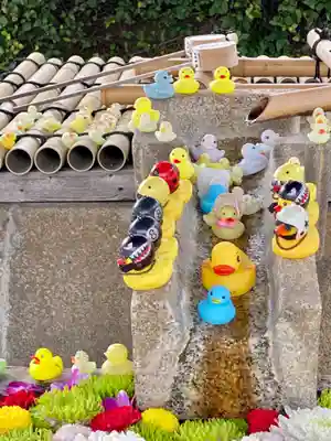 くろ谷 金戒光明寺の手水舎