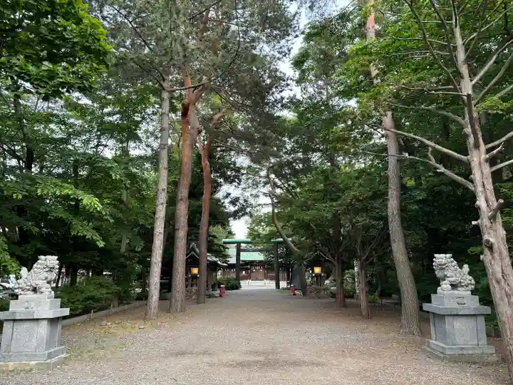 琴似神社(北海道)