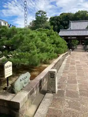 鶴羽根神社(広島県)