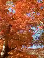 たつの市 常照寺の自然