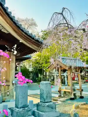 日限地蔵尊 観音院(群馬県)