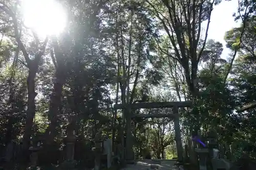 高山八幡宮の景色