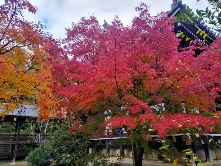 光明寺(粟生光明寺)(京都府)