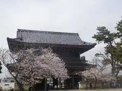 光明寺のその他建物