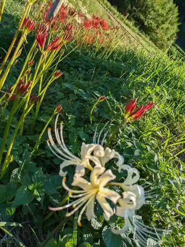 宝城坊(神奈川県)