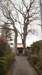 熊野神社の自然